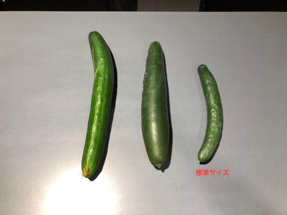 デカっ！