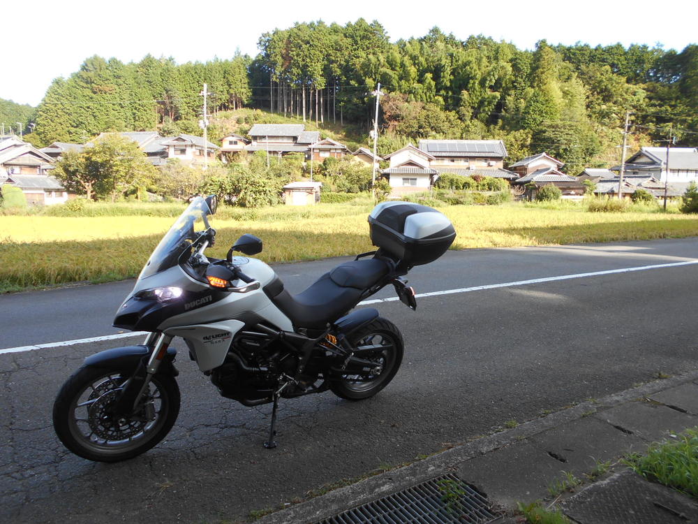 どちらにしようか？