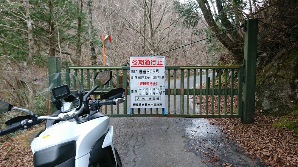春が楽しみ。