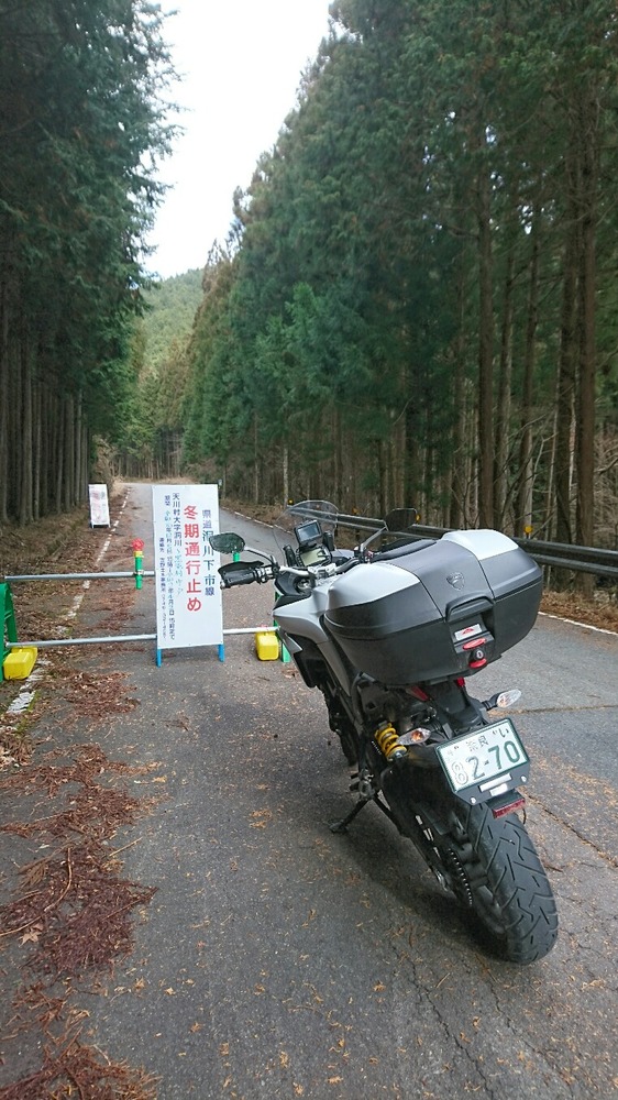 春が楽しみ。