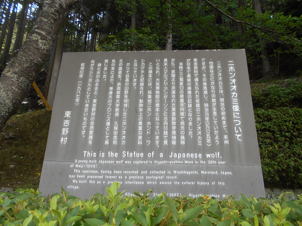 林道ソロツーリング その１　大天井滝まで