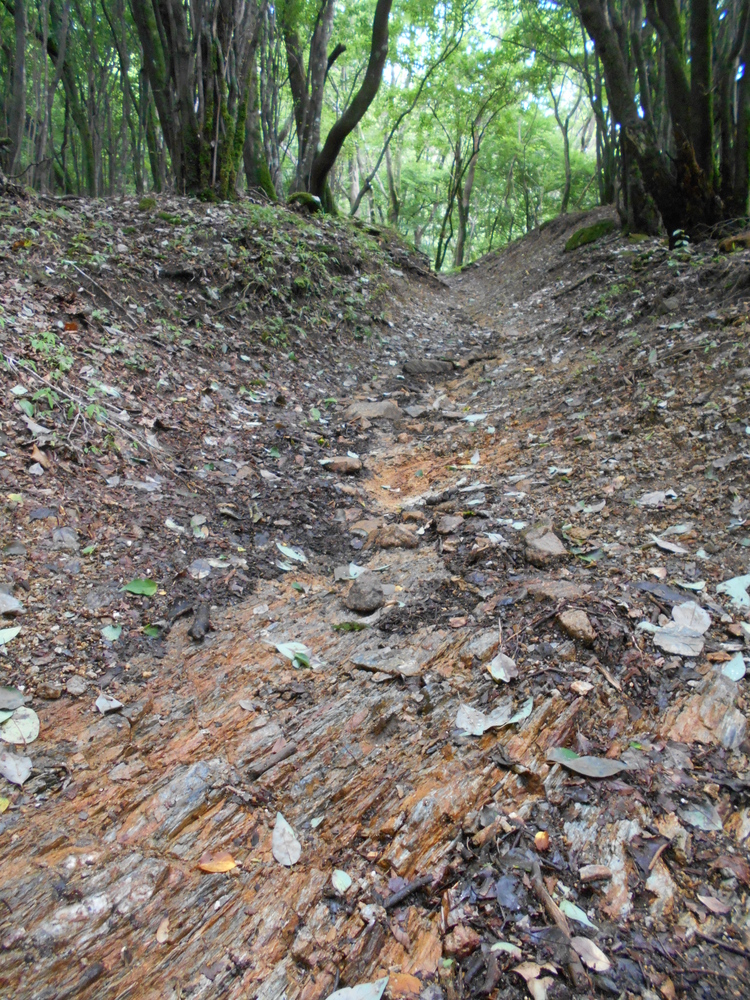 ソロツーリング【高見山登山】(2)